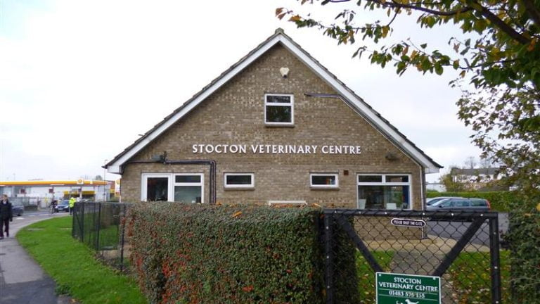 Google Guildford Vets Now 800x450 1 768x432