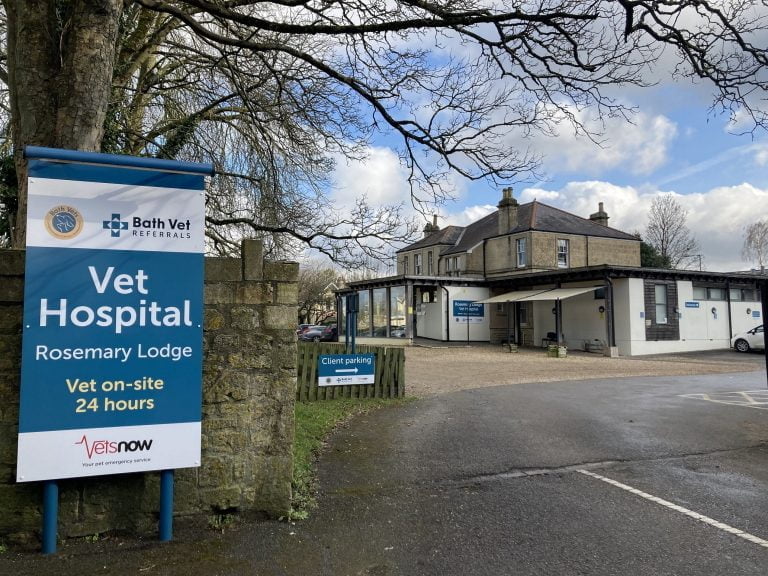 Vets Now Bath Exterior Building 768x576