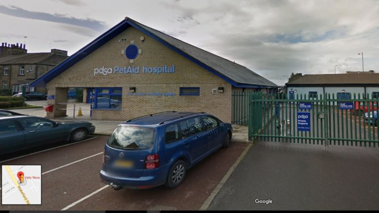 Vets Now Bradford Clinic 1280x720 1 768x432
