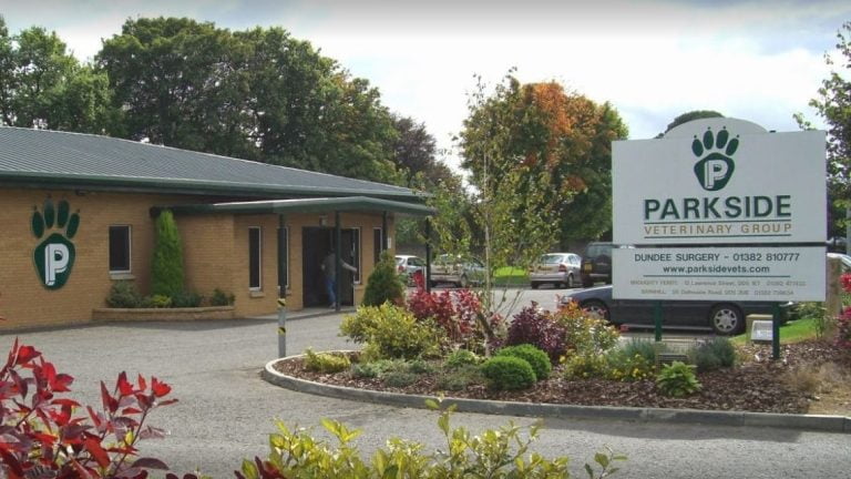 Vets Now Dundee Clinic 1 e1542014385591 1139x641 1 768x432