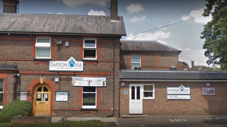 vets now hemel hempstead 960x540 1 768x432