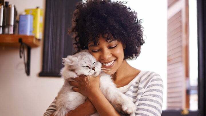 cat being hugged by woman