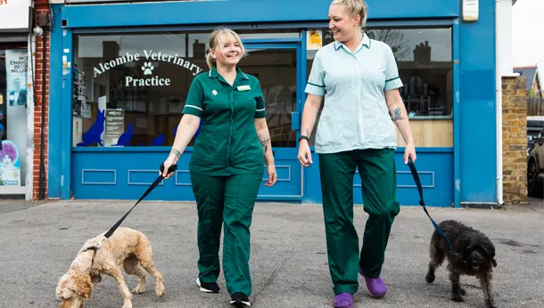 nurses two dogs walking