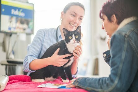 www.parkvets.com 3