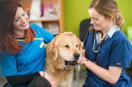 www.parkvets.com 5